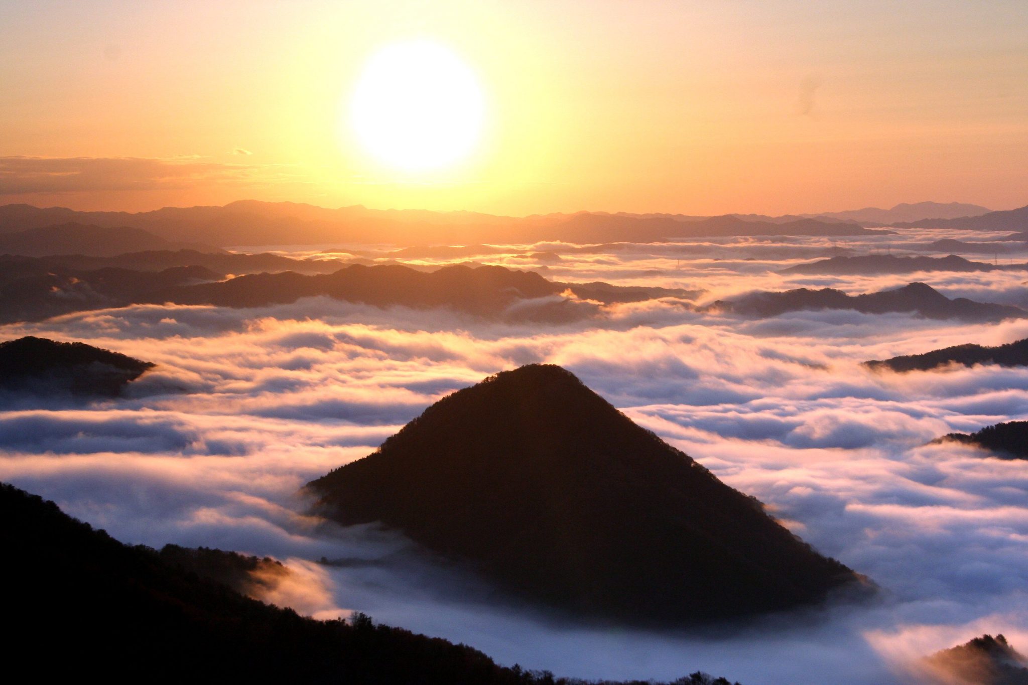 大江山の雲海